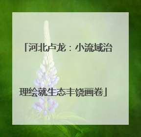 河北卢龙：小流域治理绘就生态丰饶画卷