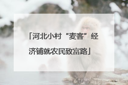 河北小村“麦客”经济铺就农民致富路