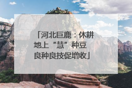河北巨鹿：休耕地上“慧”种豆 良种良技促增收