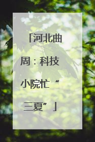 河北曲周：科技小院忙“三夏”