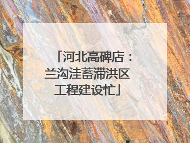 河北高碑店：兰沟洼蓄滞洪区工程建设忙