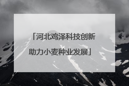 河北鸡泽科技创新助力小麦种业发展
