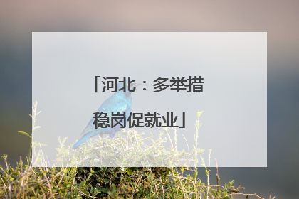 河北：多举措稳岗促就业