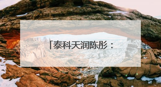 泰科天润陈彤：芯片研发是一场比拼耐力的马拉松｜湘商，向上⑤