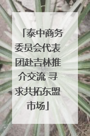 泰中商务委员会代表团赴吉林推介交流 寻求共拓东盟市场