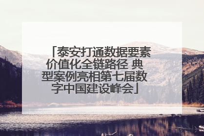 泰安打通数据要素价值化全链路径 典型案例亮相第七届数字中国建设峰会