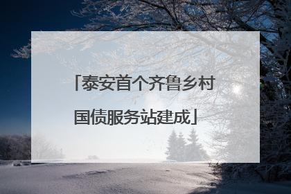 泰安首个齐鲁乡村国债服务站建成