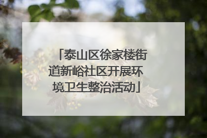 泰山区徐家楼街道新峪社区开展环境卫生整治活动