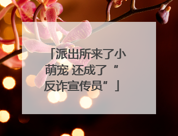 派出所来了小萌宠 还成了“反诈宣传员”