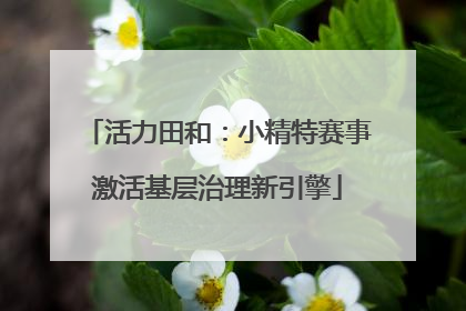 活力田和：小精特赛事激活基层治理新引擎