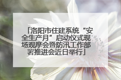 洛阳市住建系统“安全生产月”启动仪式现场观摩会暨防汛工作部署推进会近日举行