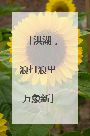 洪湖，浪打浪里万象新