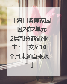 海口坡博家园二区2栋2单元2层部分商铺业主：“交房10个月未通自来水”