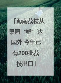 海南荔枝从果园“鲜”达国外 今年已有200批荔枝出口