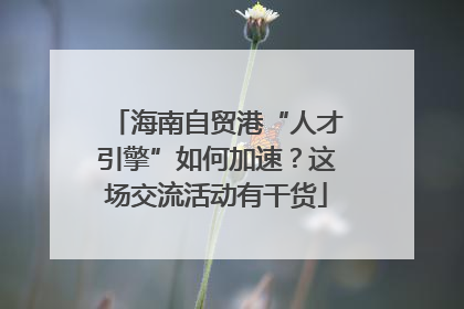 海南自贸港“人才引擎”如何加速？这场交流活动有干货