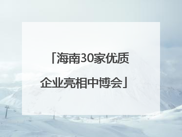 海南30家优质企业亮相中博会