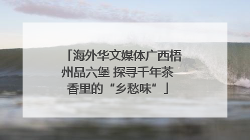 海外华文媒体广西梧州品六堡 探寻千年茶香里的“乡愁味”