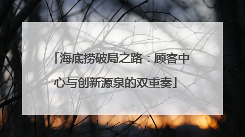 海底捞破局之路：顾客中心与创新源泉的双重奏