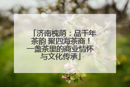 济南槐荫：品千年茶韵 聚四海茶商！一盏茶里的商业情怀与文化传承