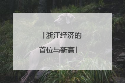 浙江经济的首位与新高