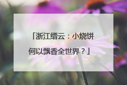 浙江缙云：小烧饼何以飘香全世界？