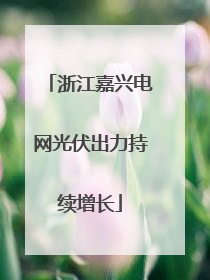 浙江嘉兴电网光伏出力持续增长