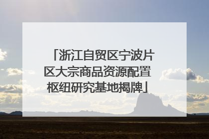 浙江自贸区宁波片区大宗商品资源配置枢纽研究基地揭牌