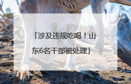 涉及违规吃喝！山东6名干部被处理
