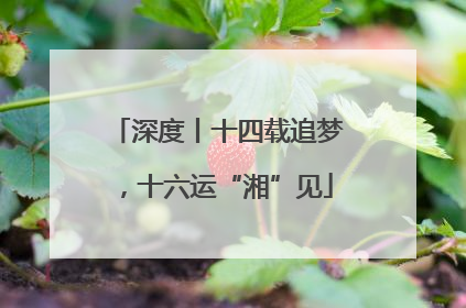 深度丨十四载追梦，十六运“湘”见