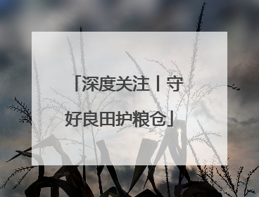 深度关注丨守好良田护粮仓