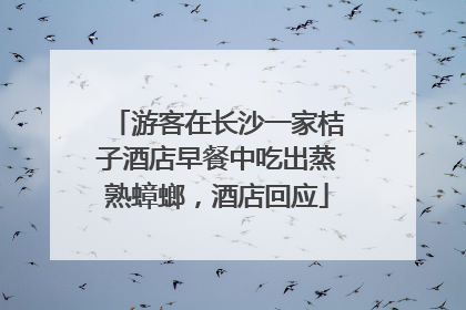 游客在长沙一家桔子酒店早餐中吃出蒸熟蟑螂，酒店回应