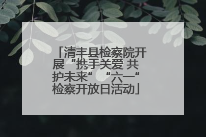 清丰县检察院开展“携手关爱 共护未来”“六一”检察开放日活动