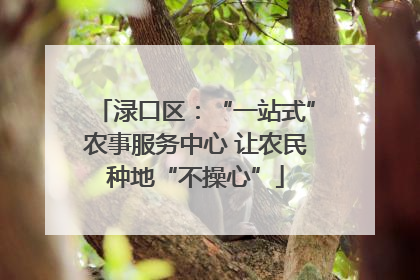 渌口区：“一站式”农事服务中心 让农民种地“不操心”