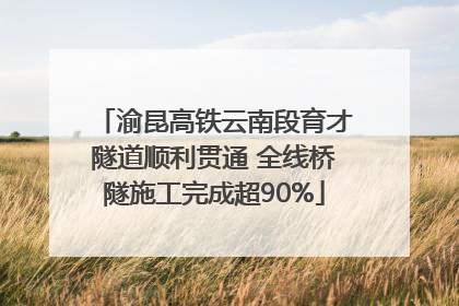 渝昆高铁云南段育才隧道顺利贯通 全线桥隧施工完成超90%