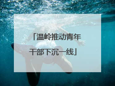 温岭推动青年干部下沉一线
