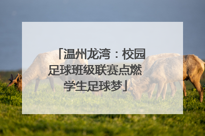 温州龙湾：校园足球班级联赛点燃学生足球梦