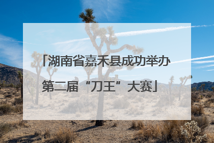 湖南省嘉禾县成功举办第二届“刀王”大赛