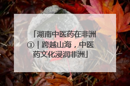 湖南中医药在非洲③｜跨越山海，中医药文化浸润非洲