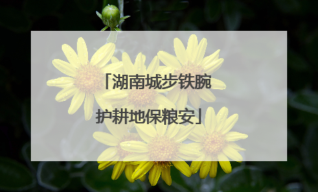 湖南城步铁腕护耕地保粮安