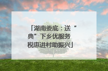 湖南娄底：送“典”下乡优服务 税惠进村助振兴