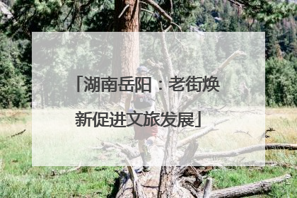 湖南岳阳：老街焕新促进文旅发展