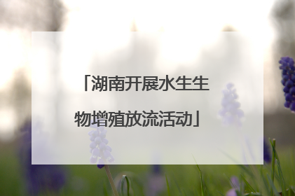 湖南开展水生生物增殖放流活动