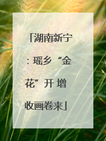湖南新宁：瑶乡“金花”开 增收画卷来