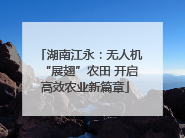 湖南江永：无人机“展翅”农田 开启高效农业新篇章