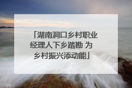 湖南洞口乡村职业经理人下乡踏勘 为乡村振兴添动能