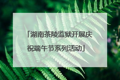 湖南茶陵监狱开展庆祝端午节系列活动