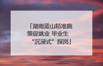 湖南蓝山精准施策促就业 毕业生“沉浸式”探岗