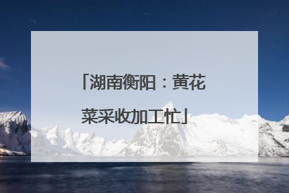 湖南衡阳：黄花菜采收加工忙