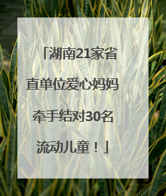 湖南21家省直单位爱心妈妈牵手结对30名流动儿童！