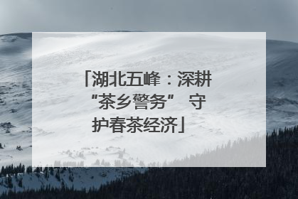 湖北五峰：深耕“茶乡警务” 守护春茶经济
